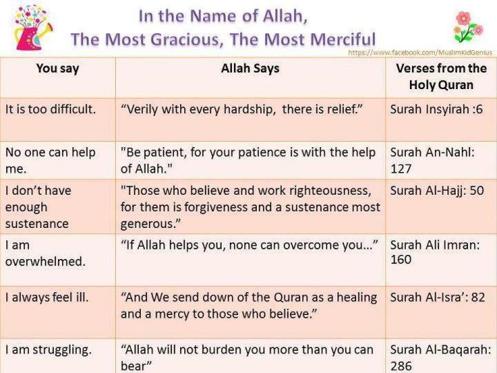 You-say-VS-Allah-swt-says-in-Quran..jpg